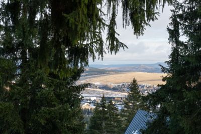 Appartements Swertia