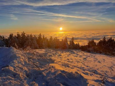 Forest House - Haus bei Klinovec