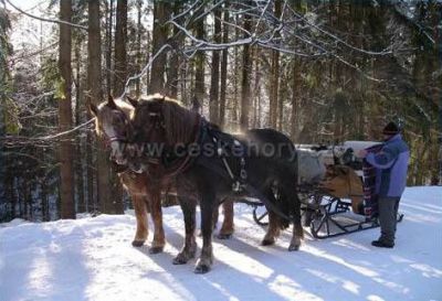 Appartement Rokytnice