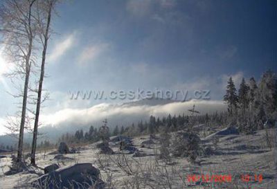 Arber Alm