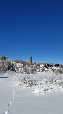 Ferienhaus in Vejprty