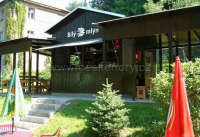 Villa Bílý mlýn