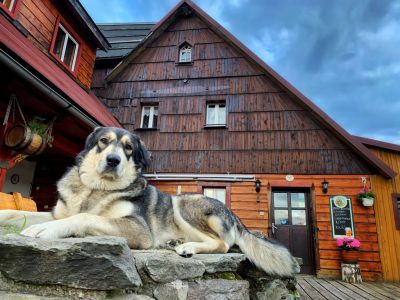 Hütte Borůvka