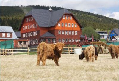 Hütte Malá Úpa
