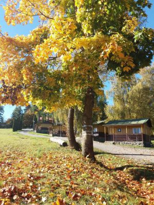 Camp Velkopařezitý