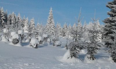 Hütte Na Rafandě Český Jiřetín