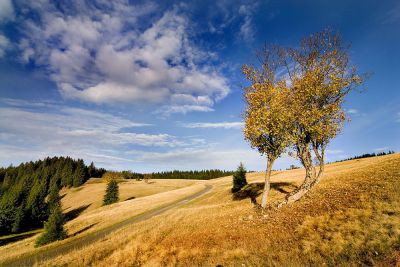 Berghütte Jeřabina