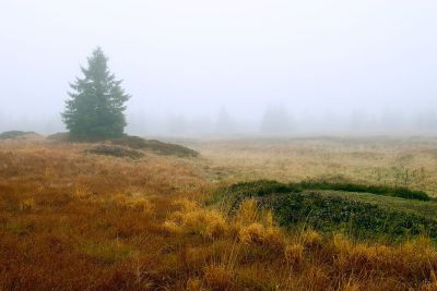 Berghütte Jeřabina