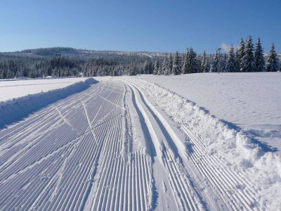 Hütte Podlesí