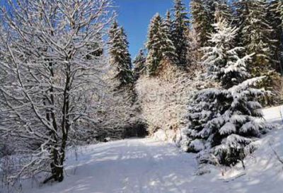 Hütte Grácie - ehemalige Firmenhütte