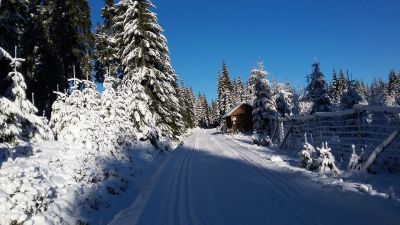 Berghütte Pernink - Nejdecká