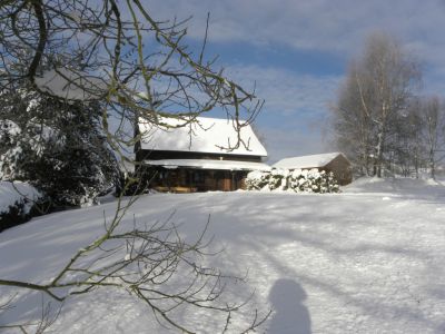 Ferienhaus Western