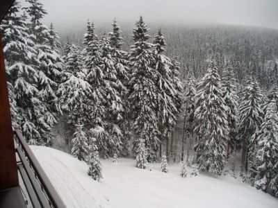 Appartement Cihlářka 303
