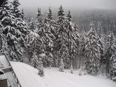 Appartement Cihlářka 303