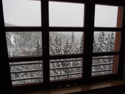 Appartement Cihlářka 303