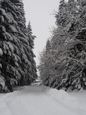 Appartement Cihlářka 303