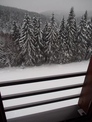 Appartement Cihlářka 303