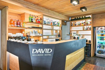 David wellness hotel