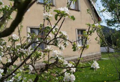 Ferienhaus Skály Adršpach