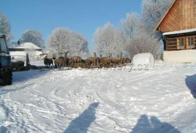 Eliščin dvůr - Pension