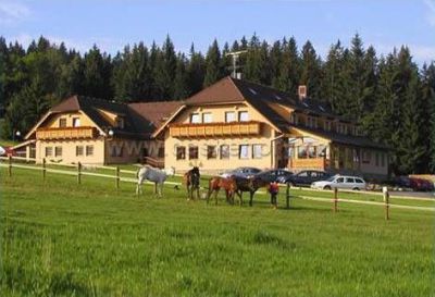 Hotel Elsyn dvůr