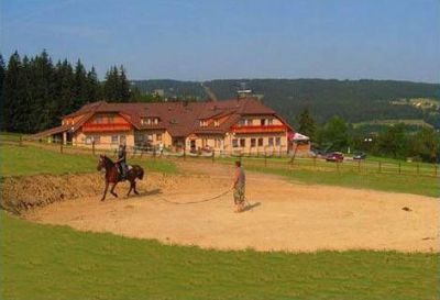 Hotel Elsyn dvůr