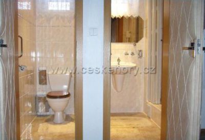 Appartements - Pension Ema - Karlov pod Pradědem