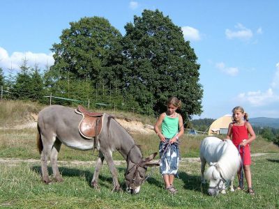 Farm Vyšehrad