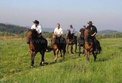Farm Třebušín - Zababeč