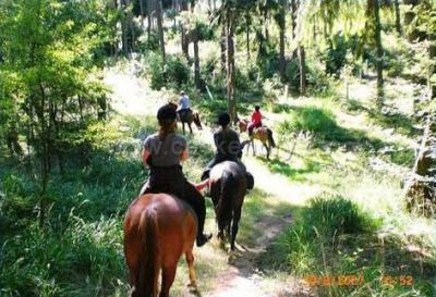 Farm Třebušín - Zababeč