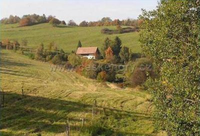 Farm Třebušín - Zababeč