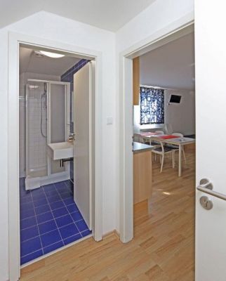 Appartements Fox Boží Dar