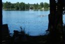 Pension bei dem Teich