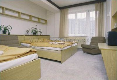 Hotel Javor