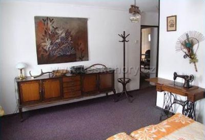Hotel Červená Liška - Potůčky