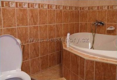 Hotel Červená Liška - Potůčky