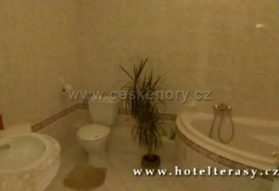 Hotel Terasy