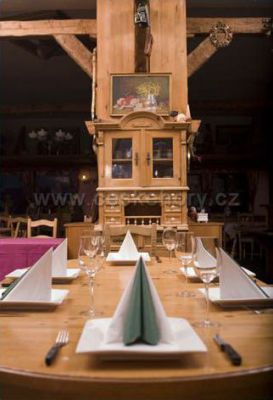 Hotel Terasy