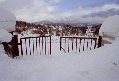 Pension Jelenka
