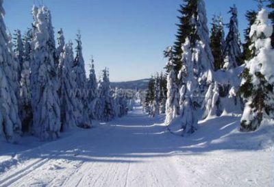 Pension Jindřichovka