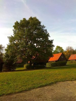 Erholungsareal Jizerky