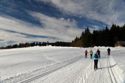 Jizerská Malina