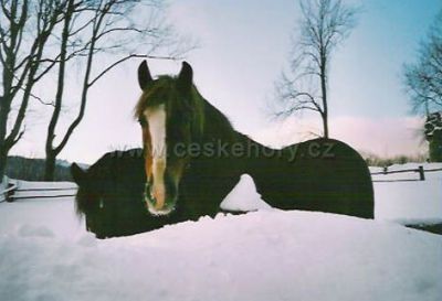 Pension Karlova chata