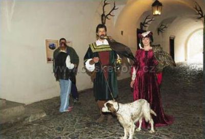 Appartement auf der Burg Kost