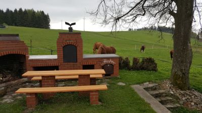 Riesengebirgige Hütte, Kněžice 25