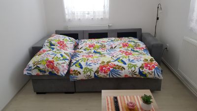 Appartement KOŘEN Kořenov Isergebirge