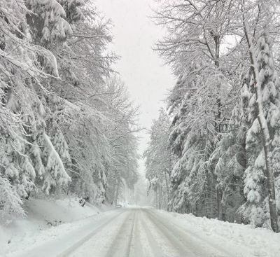 Zlatá Kotva - Wellness Hotel - Reha Clinic s.r.o.