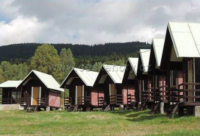 Camping Sommer im Urwald