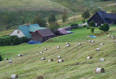 Hütte Naproti Snežce