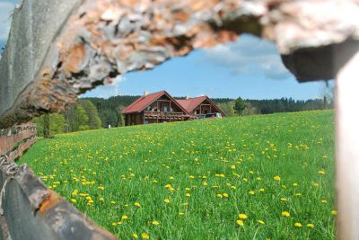 Lipno Island